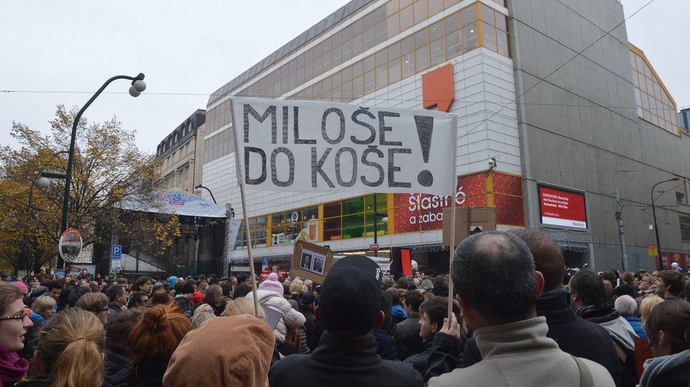 Protest proti Zemanovi v listopadu 2014
