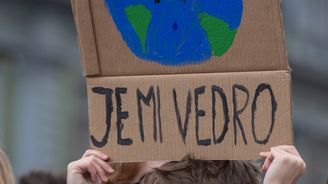 České podniky v klimatických plánech tápou. Viní z toho stát