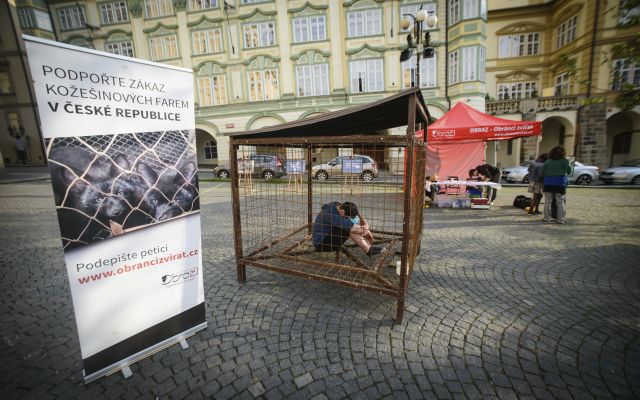 Tadeáš se na protest nechal do klece na Malostranském náměstí zavřít už v 7 hodin ráno, z klece se dostane až za 12 hodin.