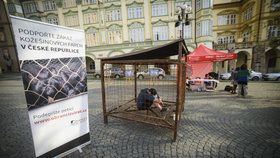 Na Malostranském náměstí sedí muž v kleci: Protestuje proti kožešinovým farmám