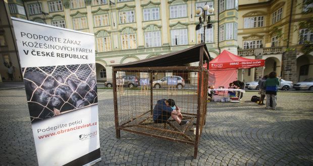 Tadeáš se na protest nechal do klece na Malostranském náměstí zavřít už v 7 hodin ráno, z klece se dostane až za 12 hodin.