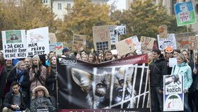 Demonstrace proti zabíjení norků a lišek