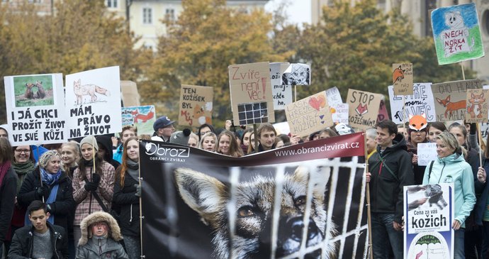 Demonstrace proti zabíjení norků a lišek