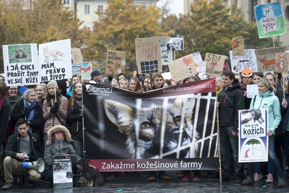 Demonstrace proti zabíjení norků a lišek