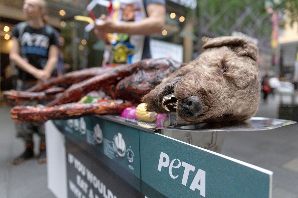 PETA chtěla šokovat veřejnost grilováním psa. Protest proti zabíjení zvířat proběhl uprostřed obchodního centra plného dětí