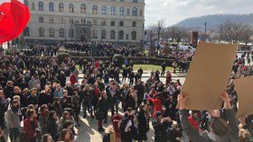 Studenti vysokých a středních škol protestují po celém Česku za ústavní hodnoty