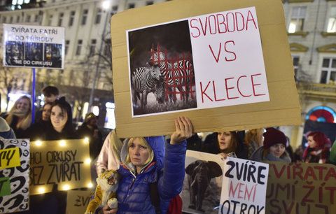 »Svoboda vs. klece!« V centru Prahy protestovalo 150 lidí proti chovu zvířat v cirkusech