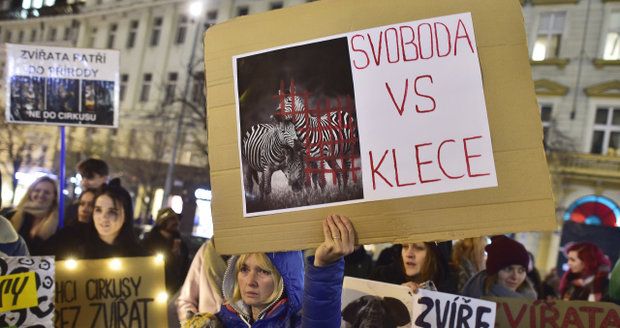 »Svoboda vs. klece!« V centru Prahy protestovalo 150 lidí proti chovu zvířat v cirkusech