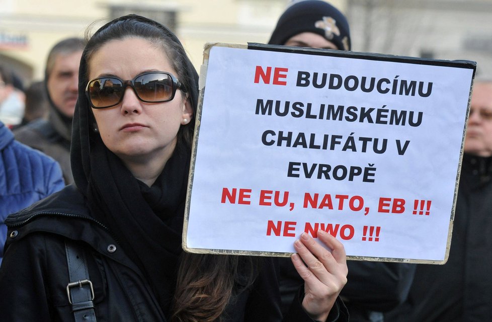Protiuprchlický protest v Brně (6. února 2016)