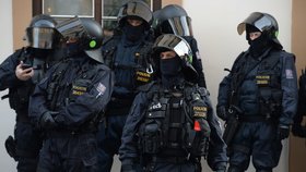 Policejní opatření během protestů v Praze (6. února 2016)