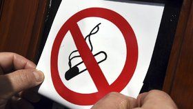 V Česku platí momentálně protikuřácký zákon, o jeho zjemnění se vedou spory