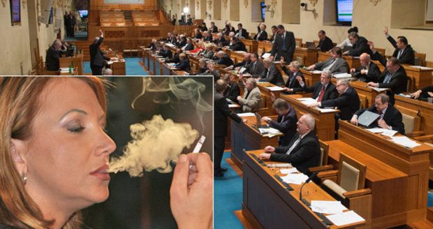 Senátoři si „brousí zuby“ na protikuřácký zákon. Jaké chystají změny?