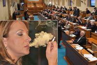 Senátoři si „brousí zuby“ na protikuřácký zákon. Jaké chystají změny?