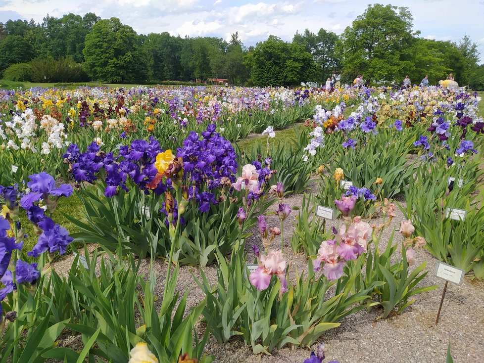 Botanická zahrada Chotobus v Průhonicích je součástí průhonického zámeckého parku.