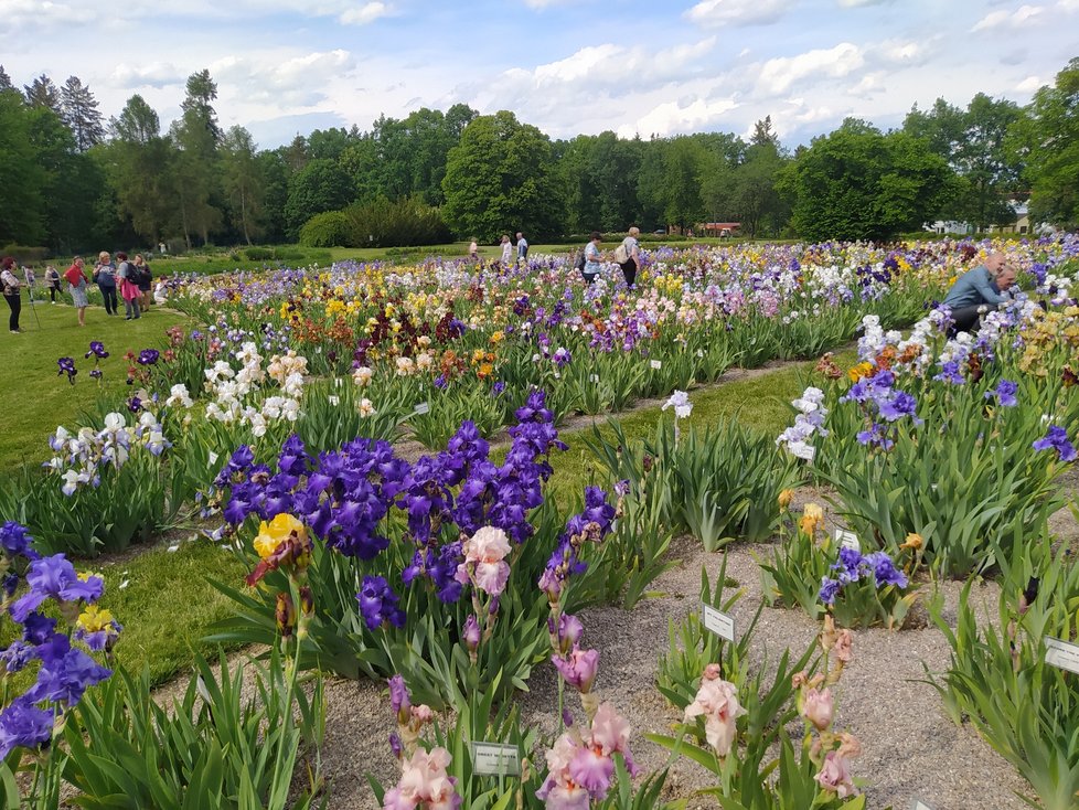 Botanická zahrada Chotobus v Průhonicích je součástí průhonického zámeckého parku.