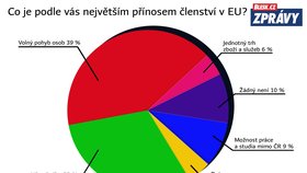 Průzkum k 15 letům ČR v EU: Přínos