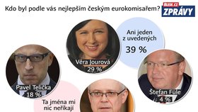 Průzkum k 15 letům ČR v EU: Eurokomisaři