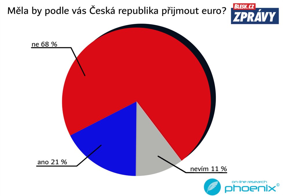 Průzkum k 15 letům ČR v EU: Euro