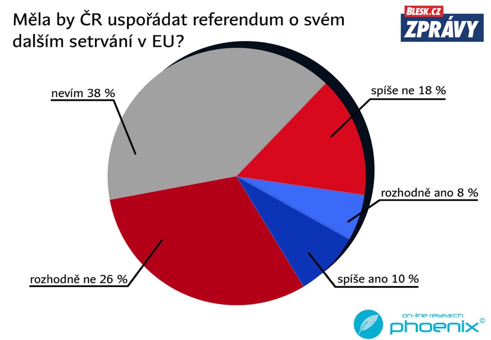 Průzkum k 15 letům ČR v EU: Referendum
