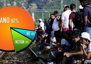 Průzkum o postojích Čechů k aktuální migrační vlně do Evropy