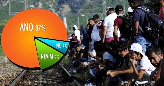 Exkluzivní průzkum: 9 z 10 Čechů má z přílivu migrantů do Evropy strach