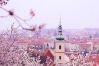 Prvomájový polibek pod rozkvetlou třešní. Kde jsou v Praze ta nejromantičtější místa?