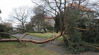 Praha 4 mlží kolem osudu parku