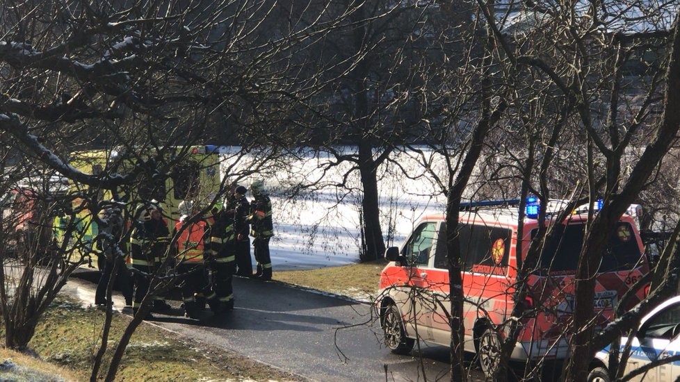 Na muže v Psárech spadl strom.