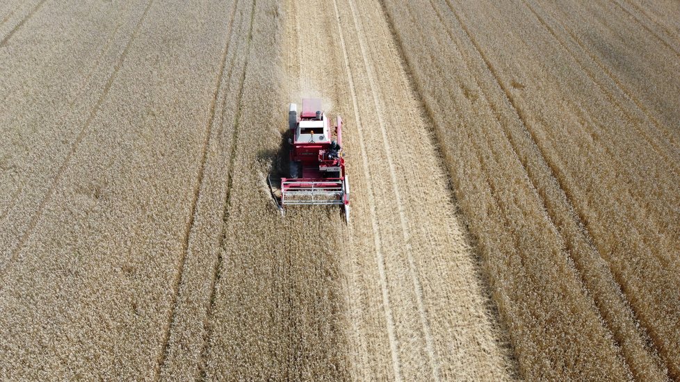 Itálie se připravuje na vyšší ceny těstovin, nedostává se tvrdozrnné pšenice