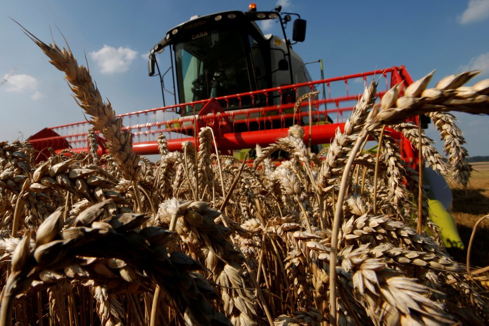 Itálie se připravuje na vyšší ceny těstovin, nedostává se tvrdozrnné pšenice