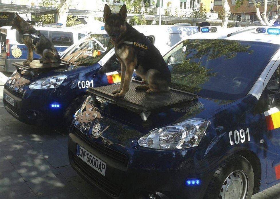 Vysloužilí policejní psi určení k adopci