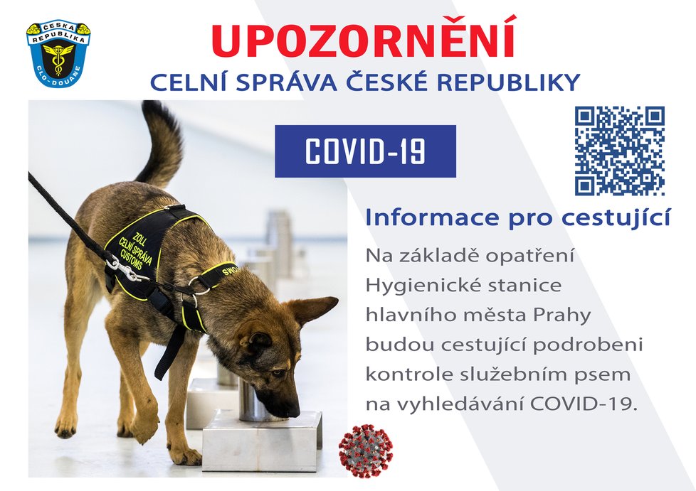 Celničtí psi na Letišti Václava Havla.