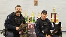Řady policie ve Windsoru na jihovýchodě Kanady rozšířila dvojice psů - Coala z České republiky a Nika ze Slovenska.