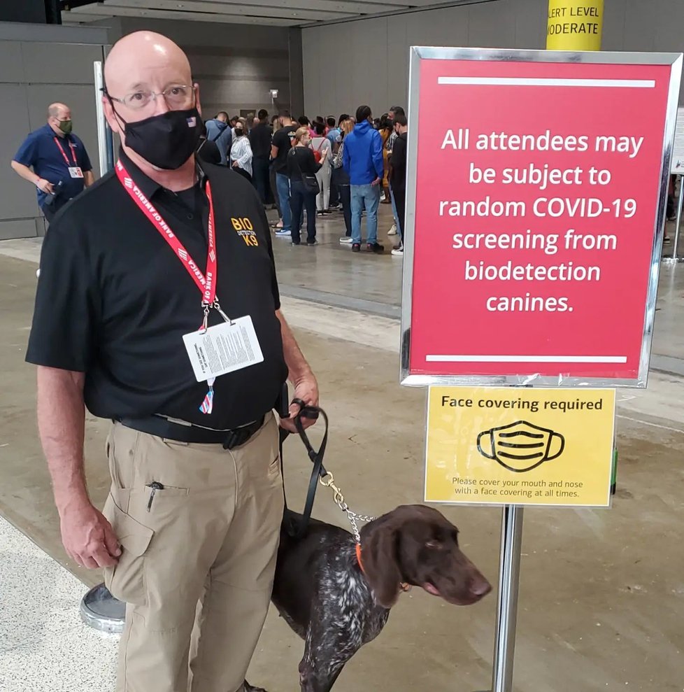 Detekční pes na letišti.