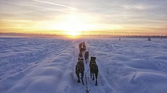 Severská vášeň jménem mushing aneb Se psím spřežením po sněhových pláních Aljašky