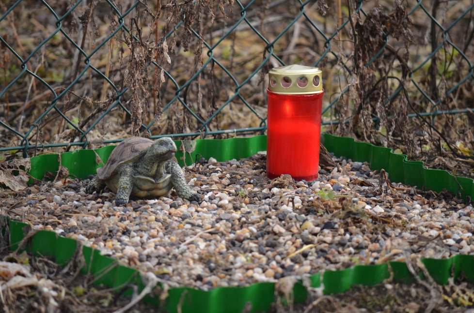 Na hřbitově mohou odpočívat i malá zvířata, kočky, morčata a želvy
