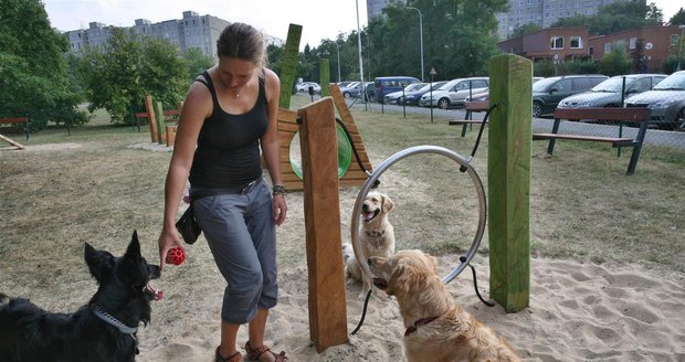 Novinka pro majitele psů v Praze: Brzy nebudou muset kvůli poplatkům na radnici, vše vyřídí přes internet
