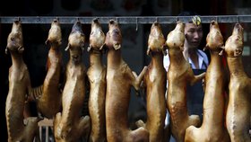 Děsivé fotky ze psích jatek v Číně.