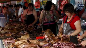 Psí maso je v Číně velmi žádané.