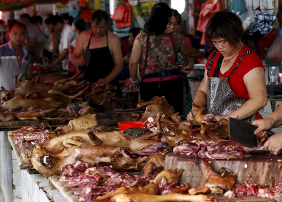 Na čínských trzích můžete koupit různé druhy masa. Včetně psího.