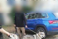 Agresivní pes v Praze pokousal cyklistu, který bránil dcerku! Zaútočil i na strážníka