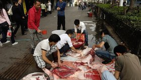V řadě asijských zemí je konzumace psího a kočičího masa běžná.