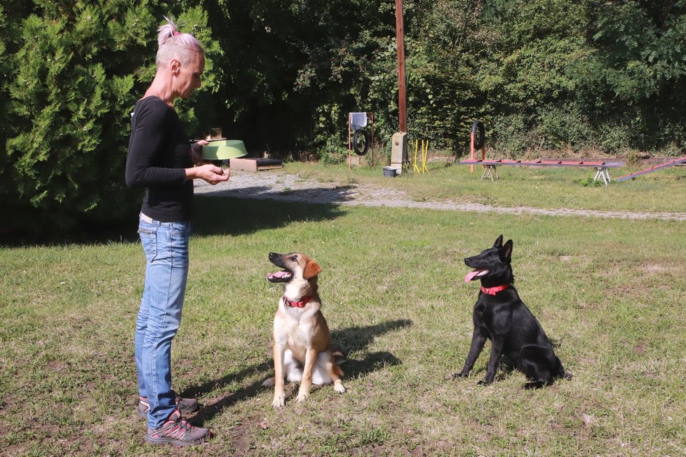 Andrea Černá s oběma psy, černou Narnie i hnědou Riou