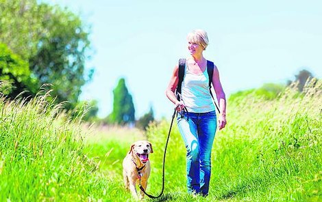 Pejsci jsou nejspokojenější v přírodě, kde mohou volně běhat. Ale pozor, pokud se pohybujete v honitbě, pes musí být na vodítku.