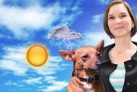 Nová Blesková předpověď: Počasí pod psa, nebo pro psa?