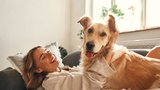 Psí terapeuti umí zahnat deprese a špatnou náladu: 5 plemen, která vám do života vrátí úsměv