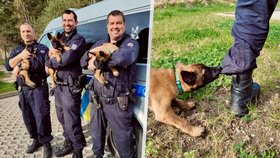 Policisté přivítali nové psí kolegy - AronA, Alana a Alfa.