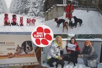 Krásné gesto! Výherkyně vánoční fotosoutěže darovala voucher útulku, psí staroušci za něj dostanou pamlsky