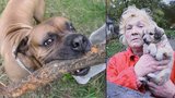 Žena dělala sousedům peklo na zemi, našli ji mrtvou: Ohlodali ji její psi