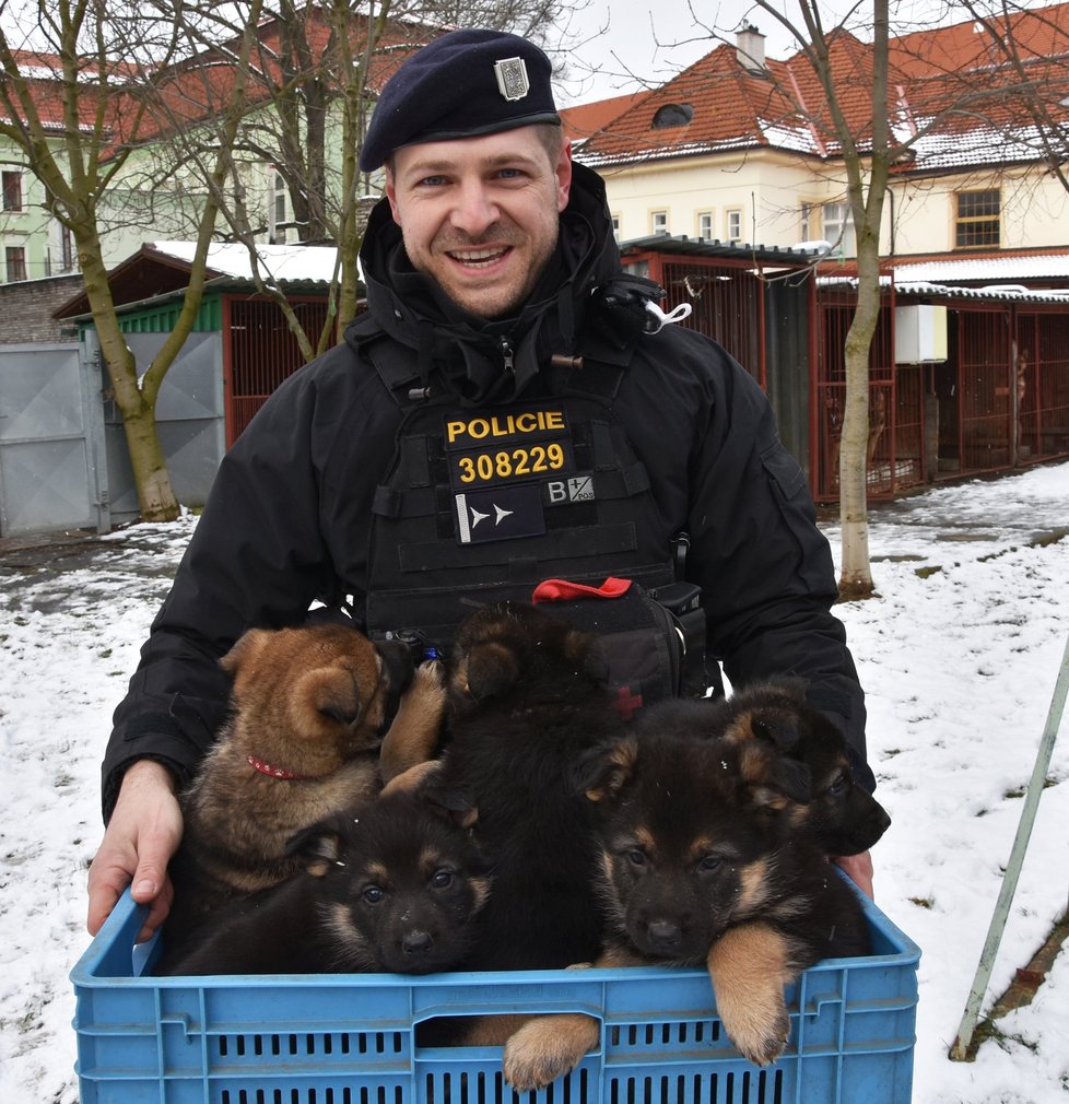 Psovod Pavel Bouček přináší přepravku plnou policejních štěňat.